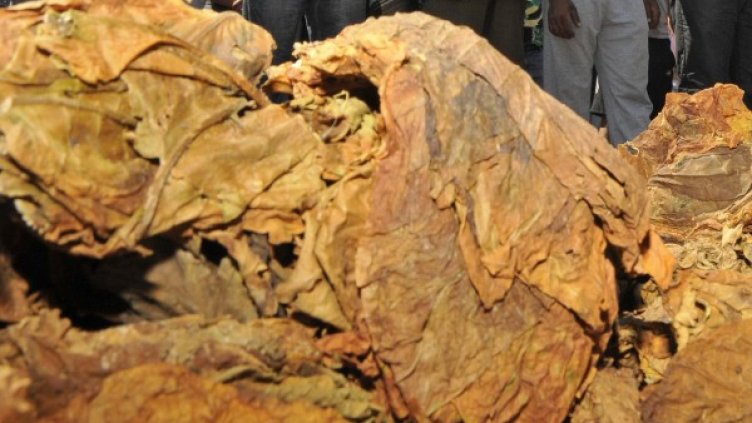 Снимка: Булфото