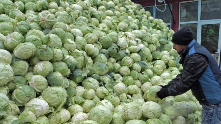 Снимка: Булфото, архив