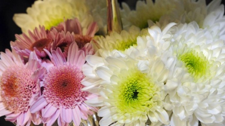 Снимка: архив, БулФото