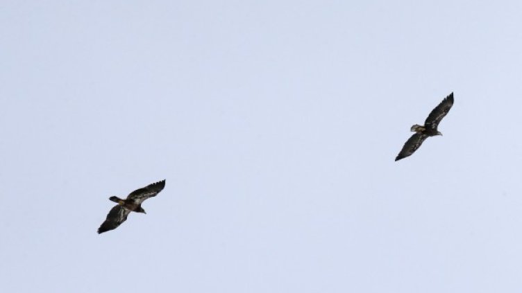 Снимка: архив, Ройтерс