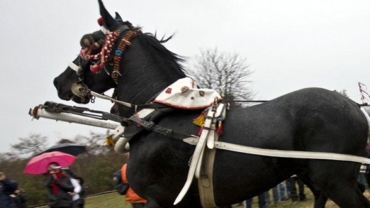 Снимка: Булфото, архив