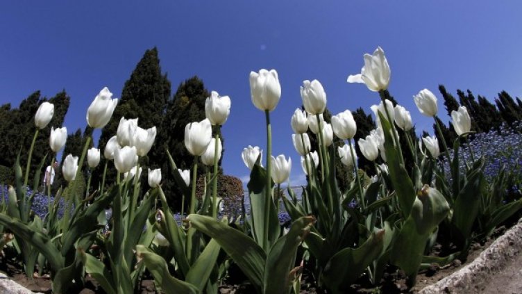 Снимка: архив, БулФото