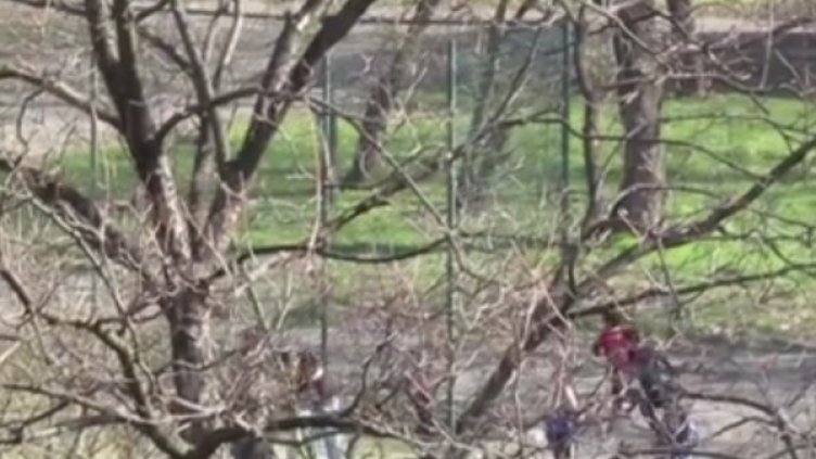 Снимка: кадър Facebook