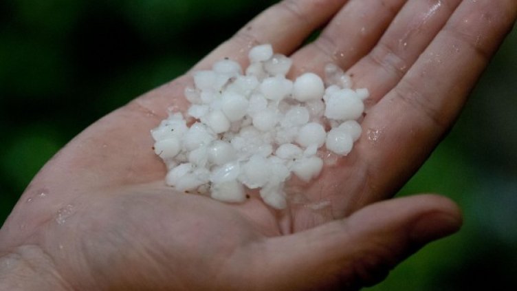 Снимка: Булфото, архив