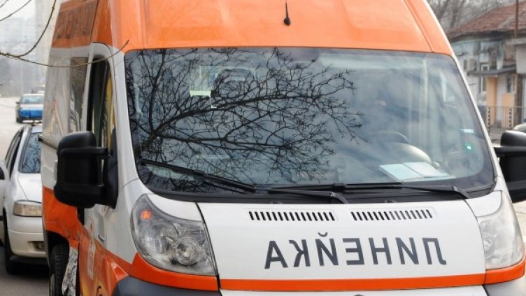 Снимка: Булфото