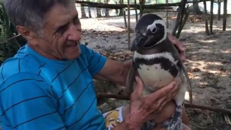 Снимка: YouTube