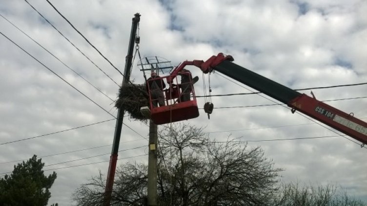 Снимка: ЧЕЗ