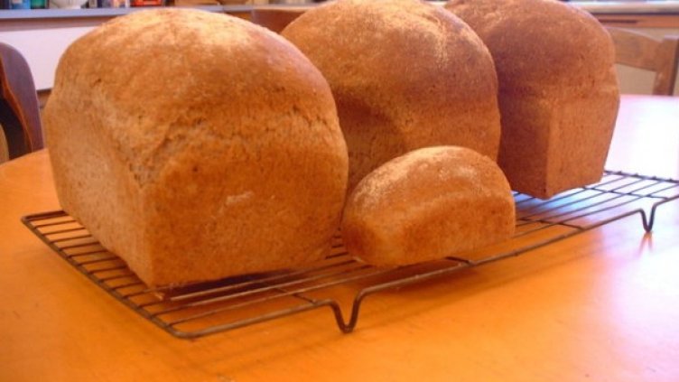 Снимка: freeimages