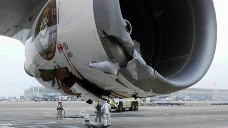 Снимка: Facebook