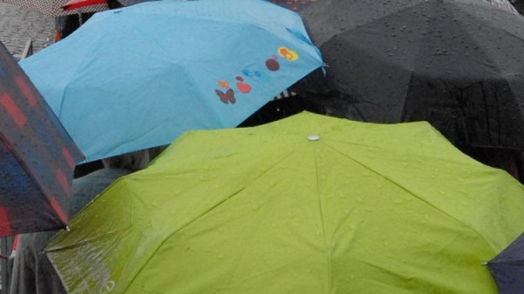 Снимка: Булфото