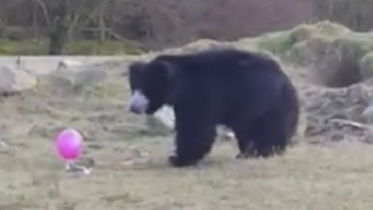 Снимка: кадър Youtube