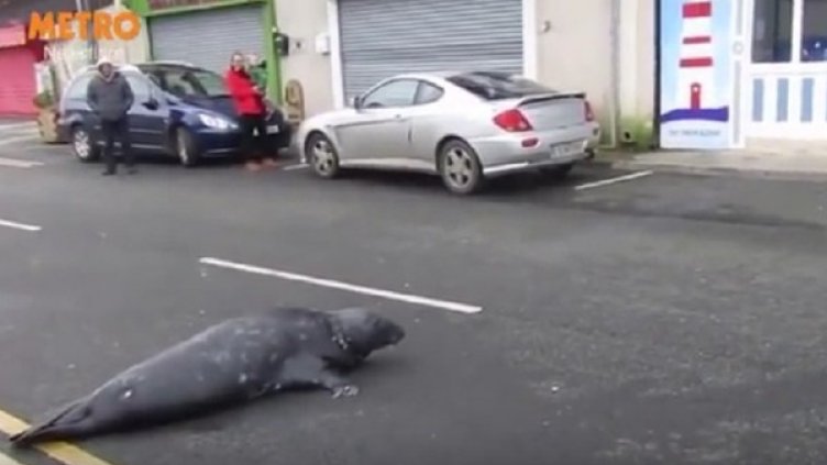 Снимка: YouTube