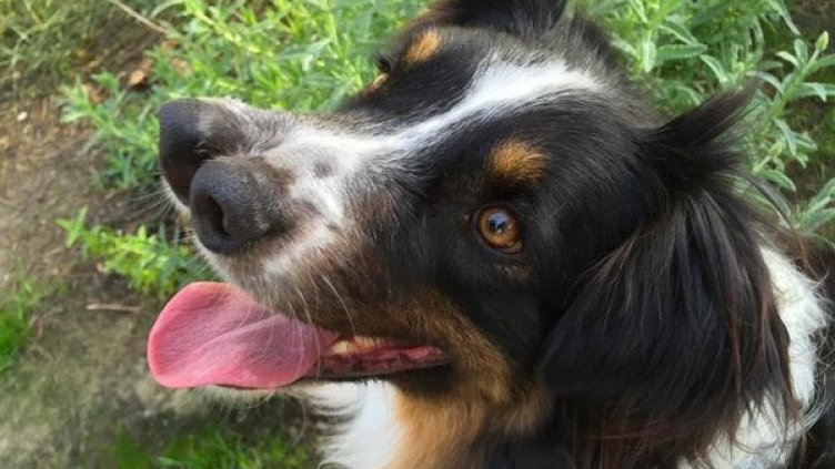 Снимка: Twitter