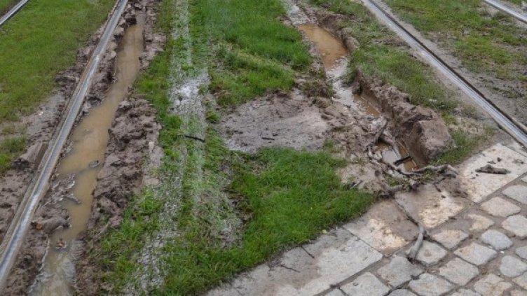 Снимка: Булфото