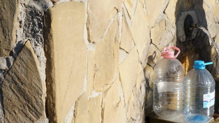 Снимка: Булфото, архив