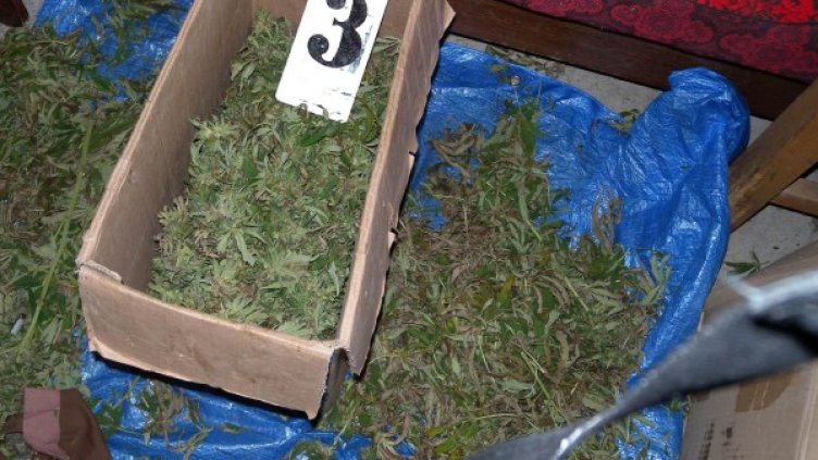 Снимка: архив, БулФото