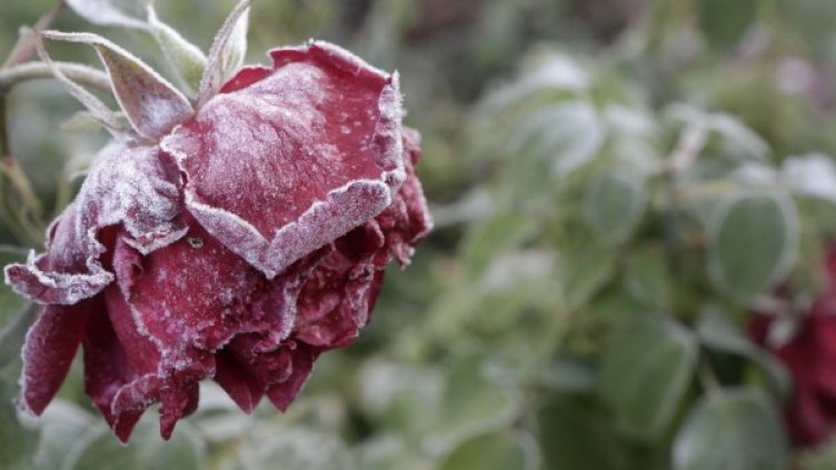 Снимка: архив Reuters