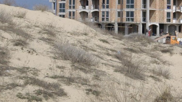 Снимка: Булфото, архив