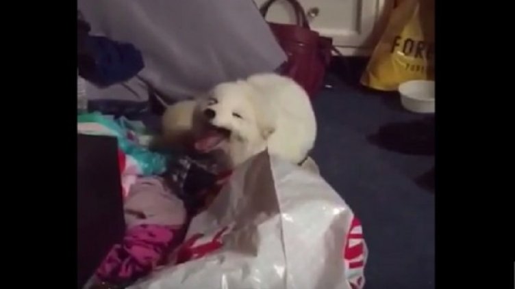 Снимка: YouTube