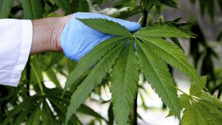 Снимка: Reuters