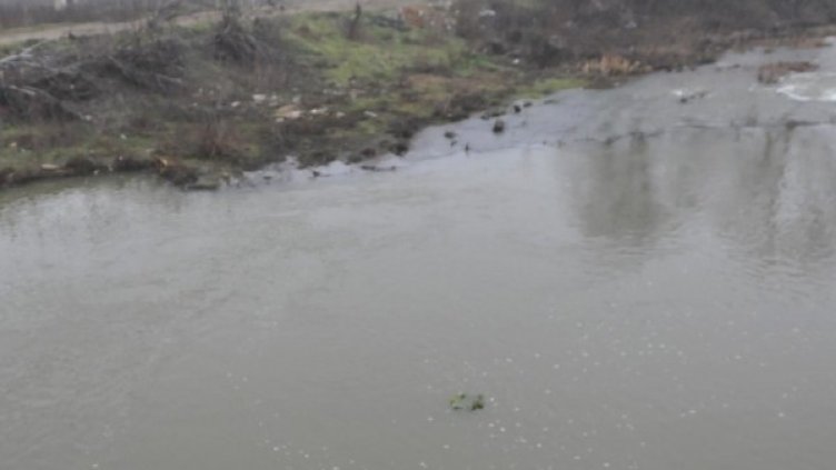 Снимка: Булфото, архив