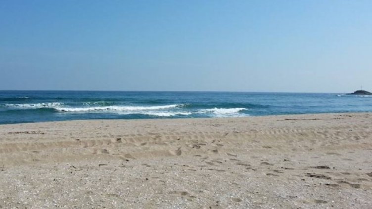 Снимка: Facebook