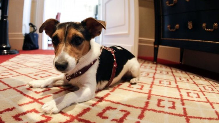 Снимка: Reuters, архив