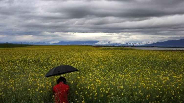 Снимка: Архив Reuters