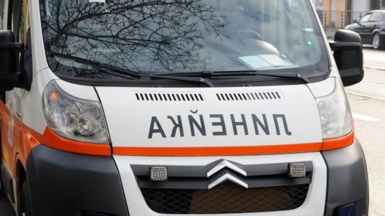 Снимка: Булфото