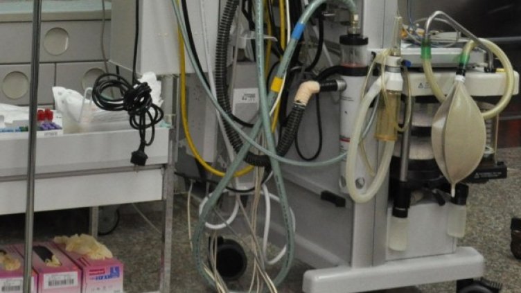 Снимка: архив, БулФото