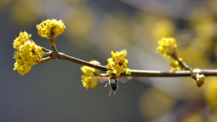 Снимка: БТА, архив