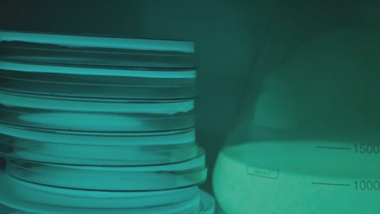 Снимка: архив Reuters