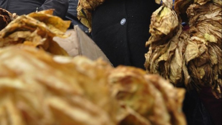 Снимка: архив Bulphoto