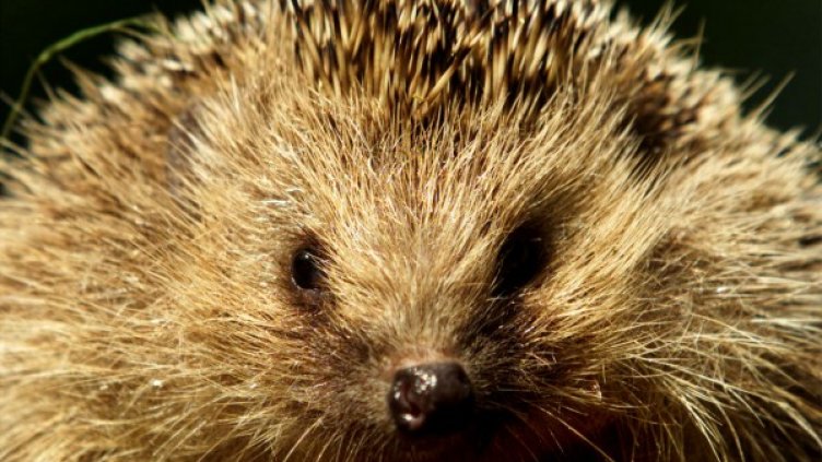 Снимка: Архив Reuters