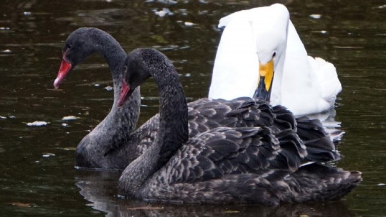 Снимка: Булфото