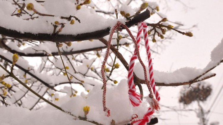 Снимка: архив Булфото