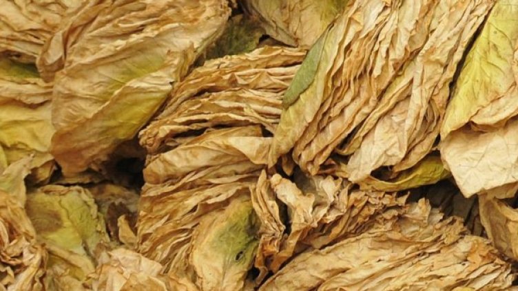 Снимка: архив, Булфото