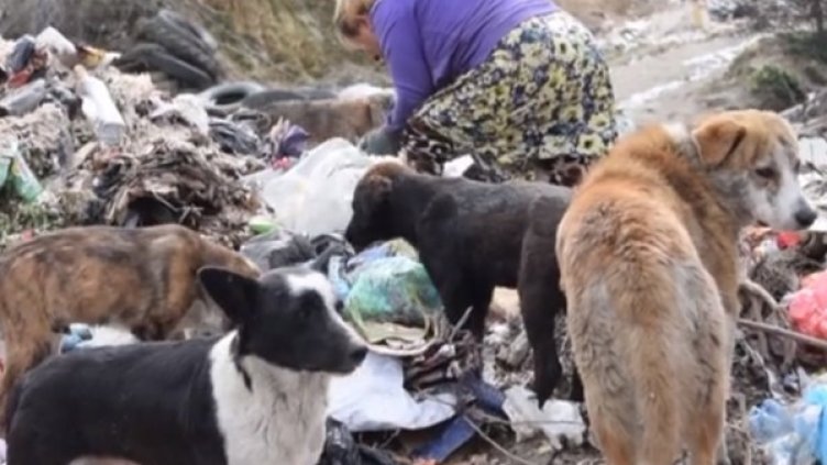 Снимка: Кадър bTV