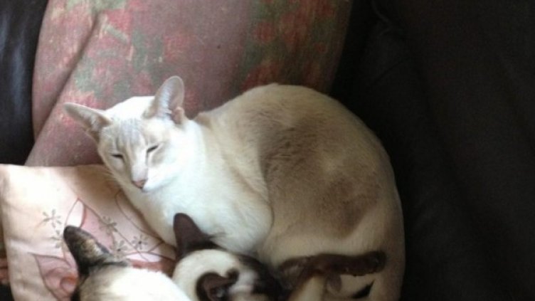 Снимка: Facebook