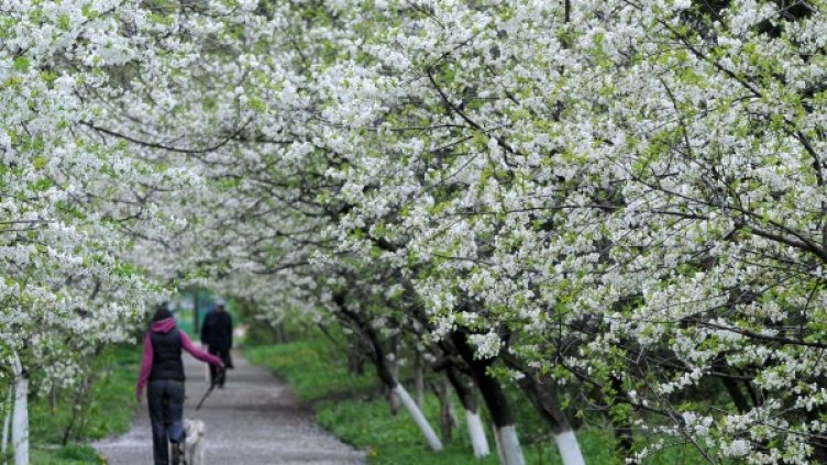 Снимка: архив Булфото