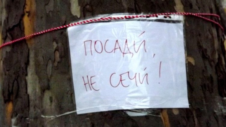 Снимка: Булфото