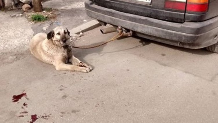 Снимка: Facebook