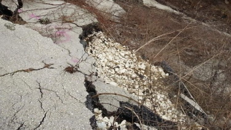 Снимка: Булфото, архив