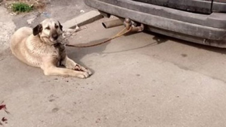 Снимка: Facebook