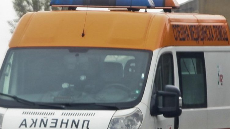 Снимка: Архив Булфото