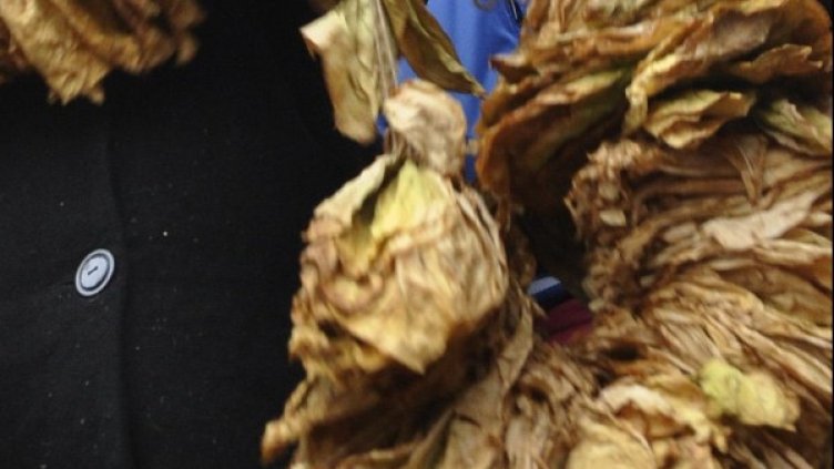 Снимка: архив Bulphoto