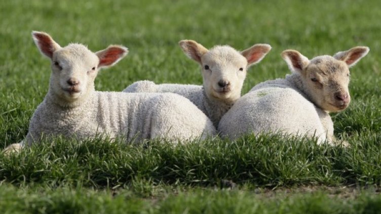 Снимка: архив, Reuters