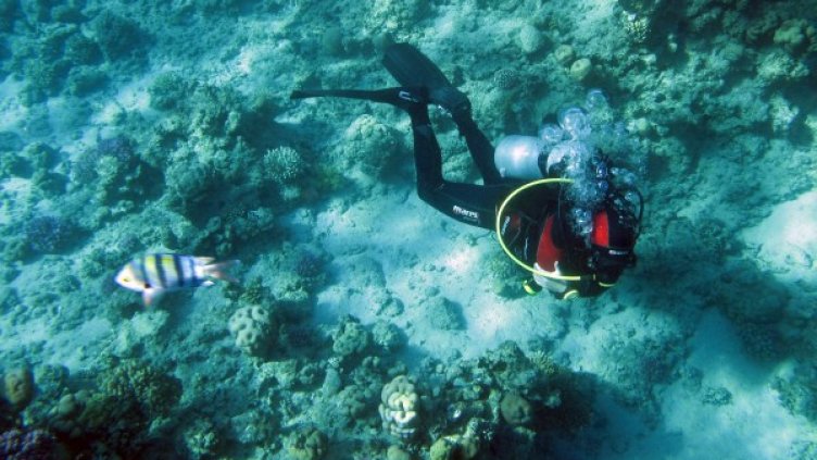 Снимка: архив Reuters