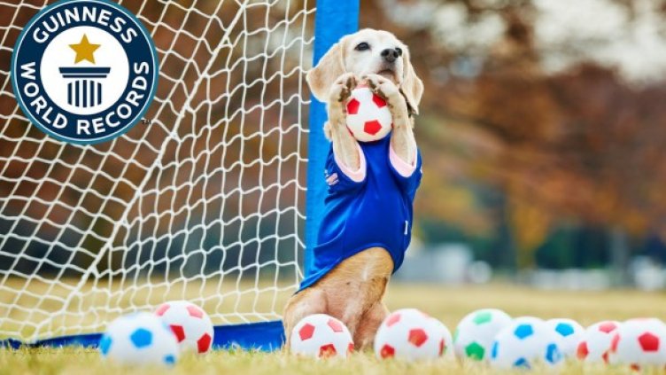 Снимка: Guinness World Records