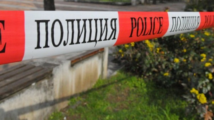 Снимка: Архив Bulphoto